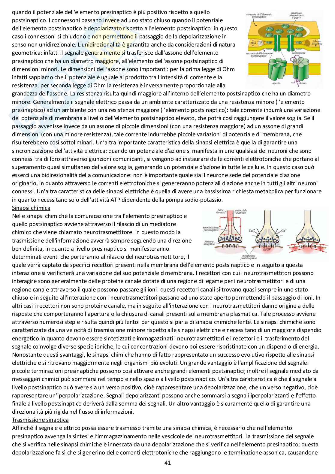 Fisiologia generale - Appunti d'esame completi Pag. 41