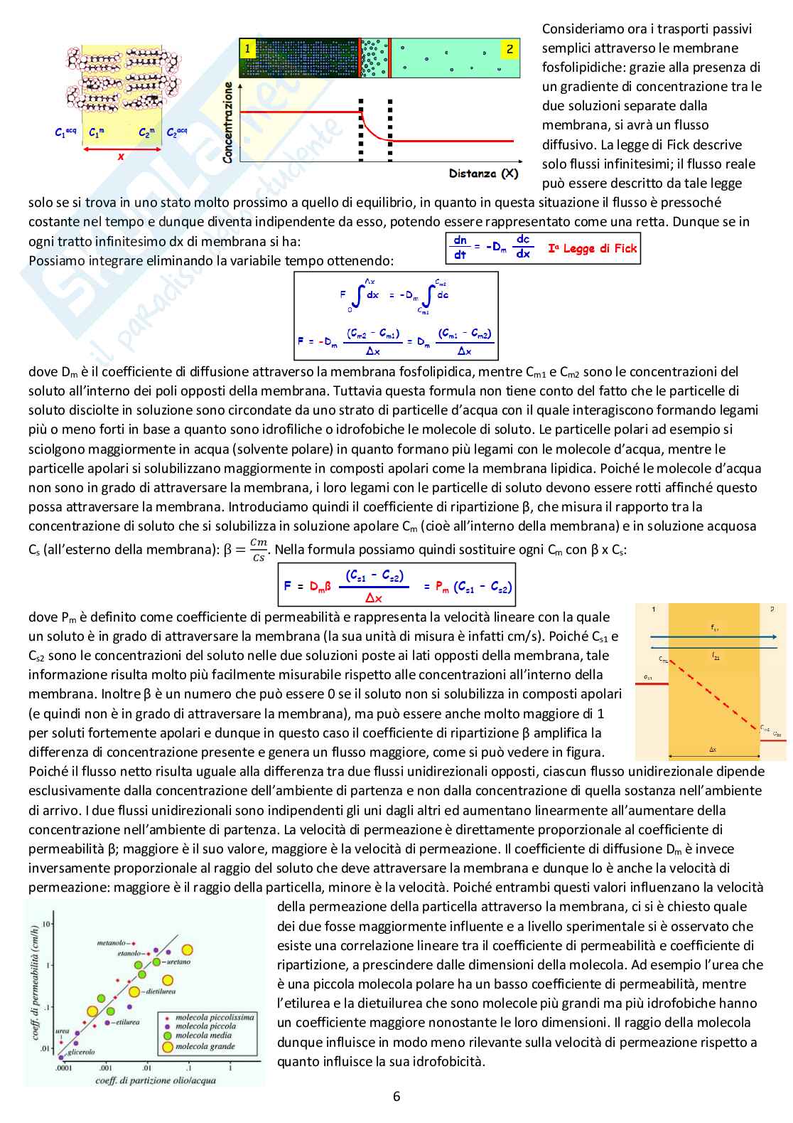 Fisiologia generale - Appunti d'esame completi Pag. 6