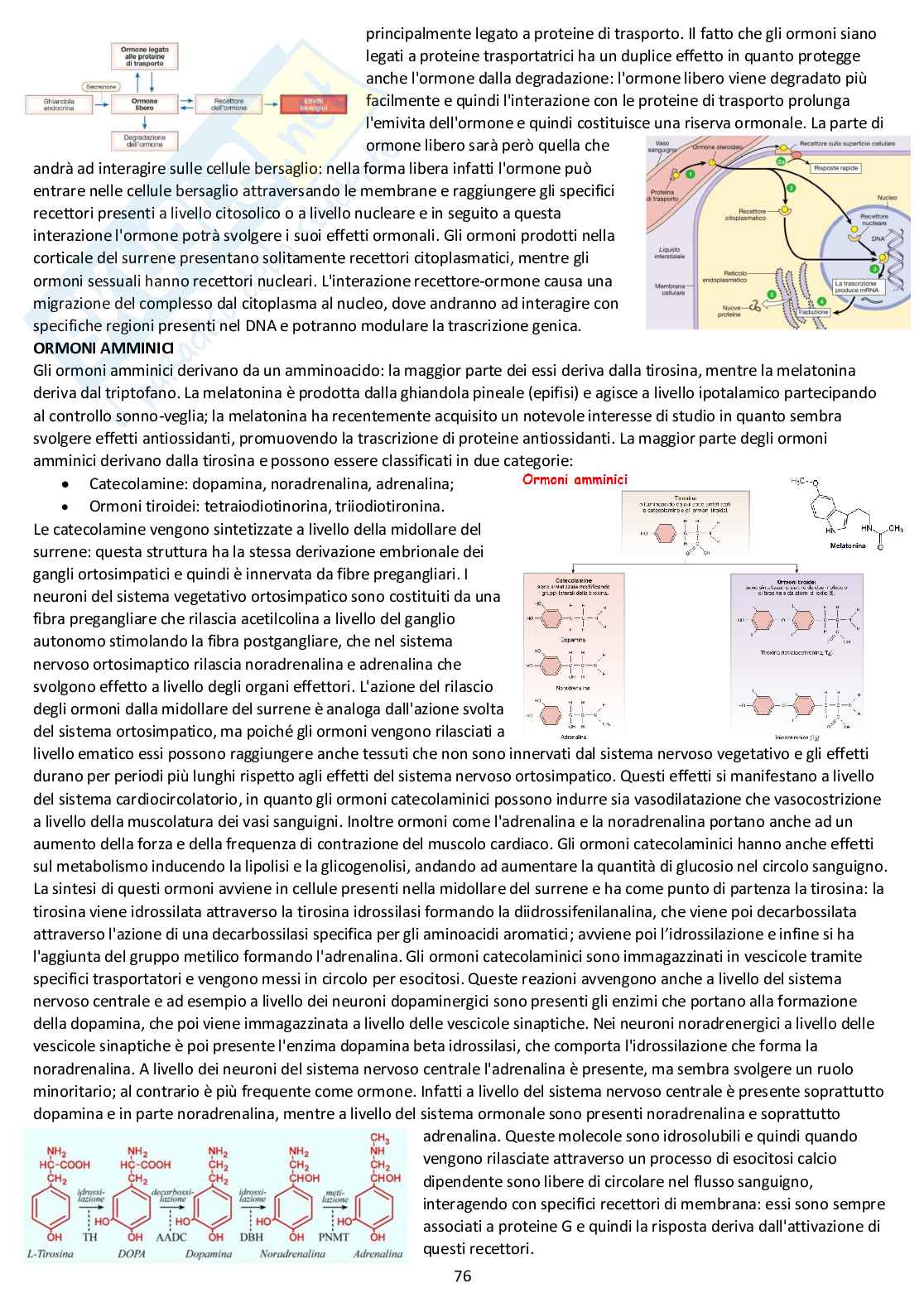 Fisiologia generale - Appunti d'esame completi Pag. 76