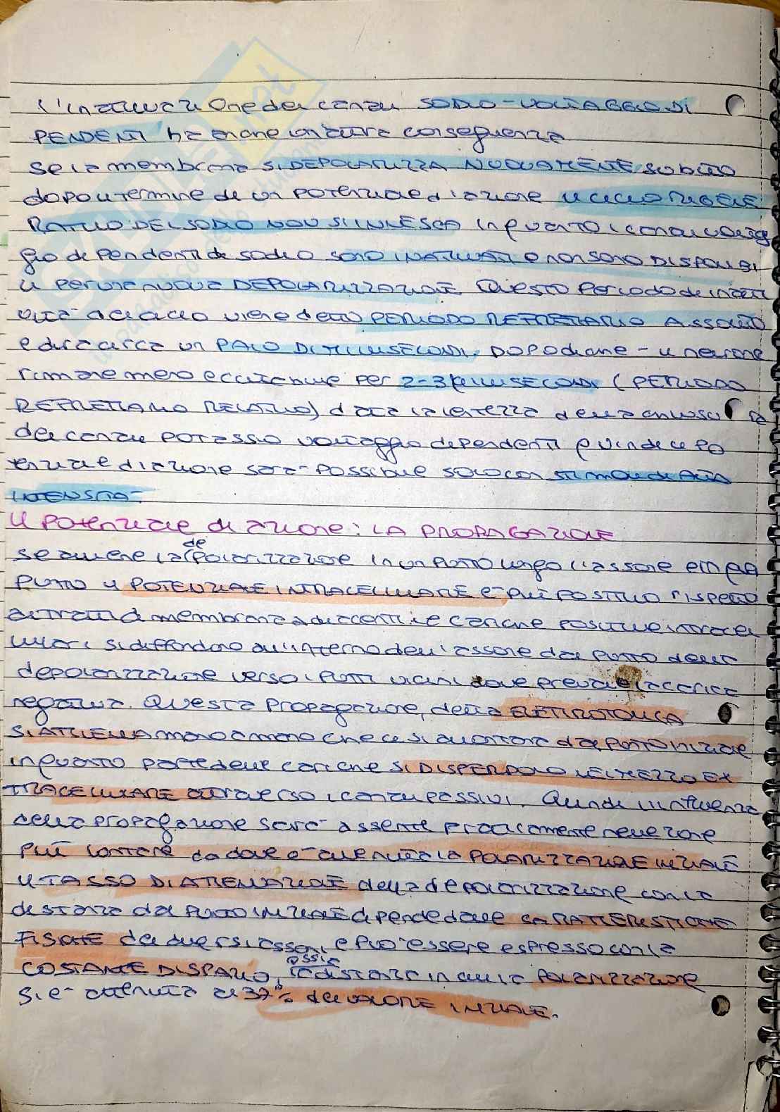 Elementi di psicobiologia: propagazione del segnale e plasticità sinaptica Pag. 1