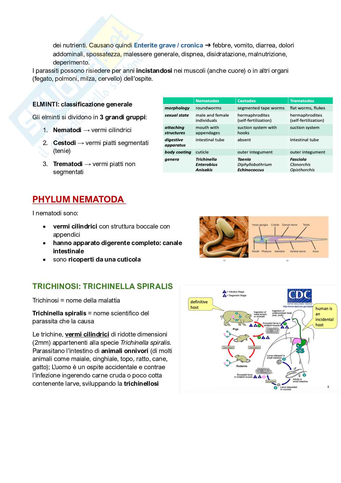 Qualità e sicurezza microbiologica Pag. 11