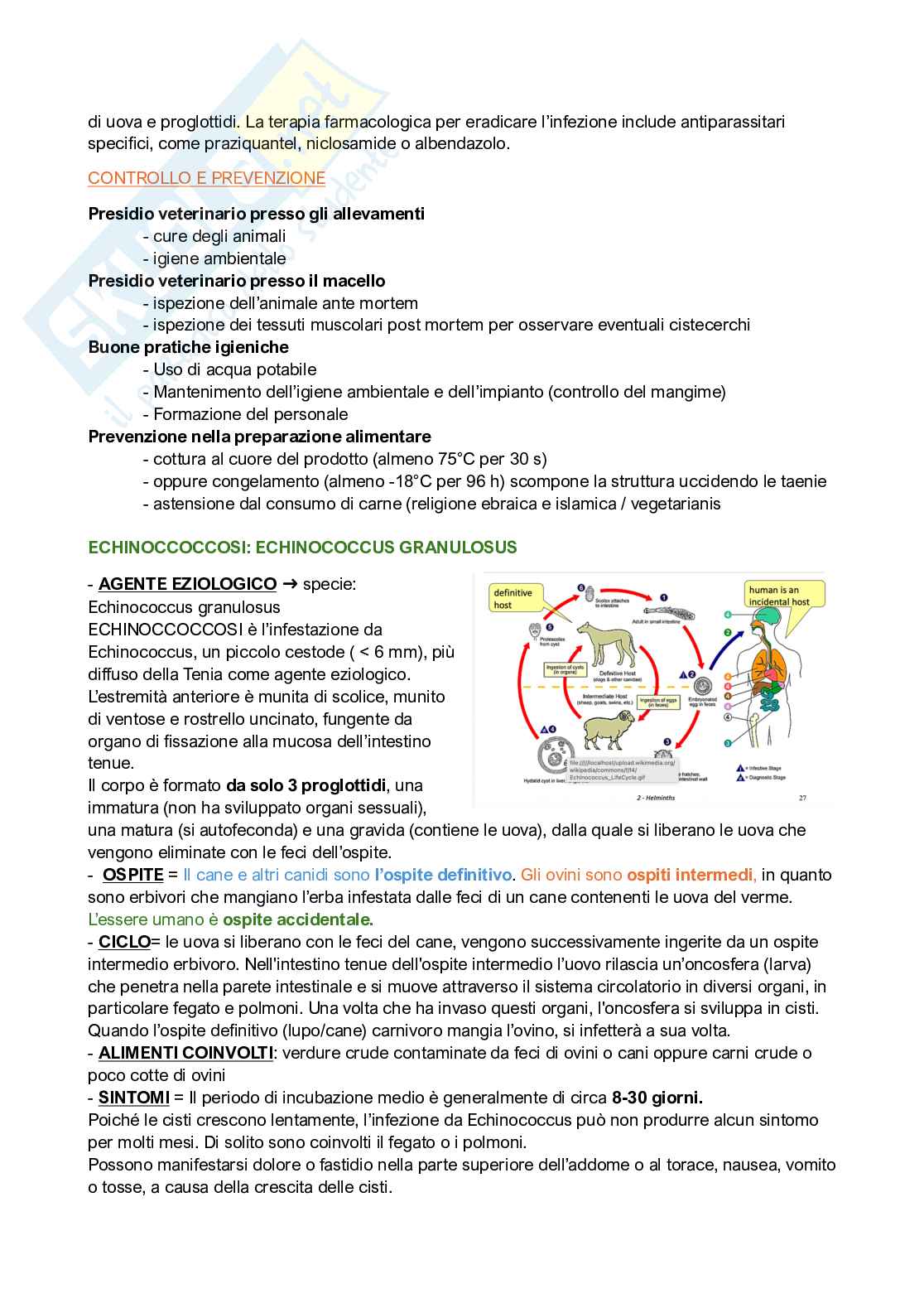Qualità e sicurezza microbiologica Pag. 16