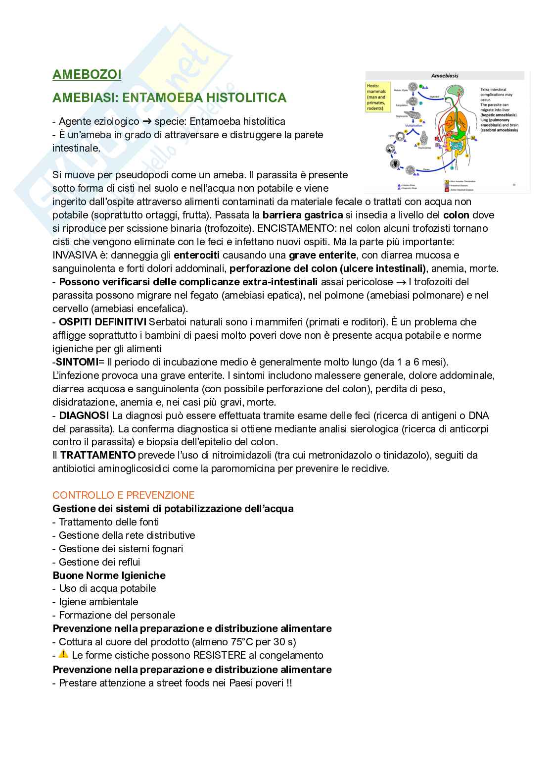Qualità e sicurezza microbiologica Pag. 21