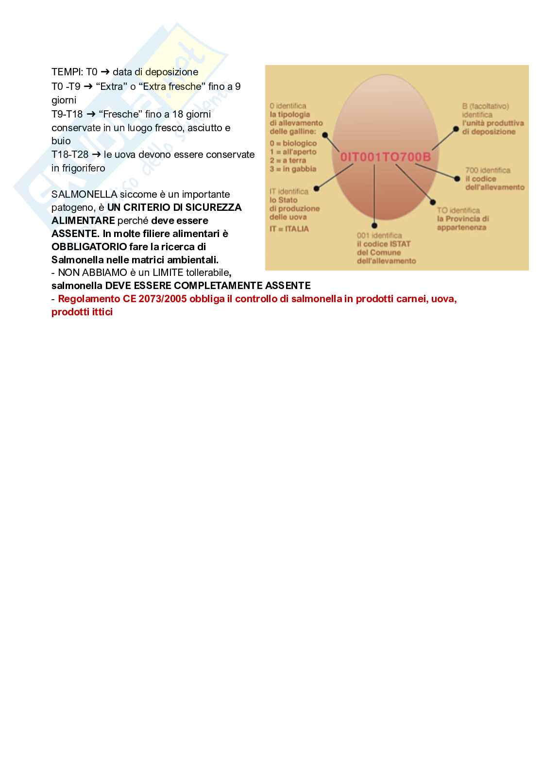 Qualità e sicurezza microbiologica Pag. 31