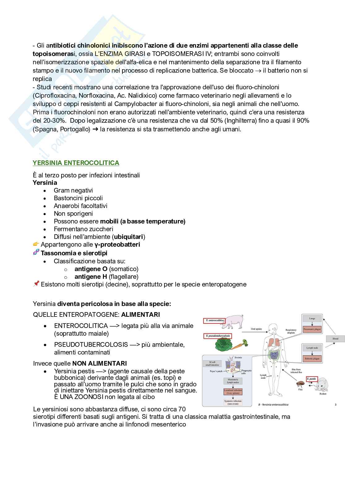 Qualità e sicurezza microbiologica Pag. 46