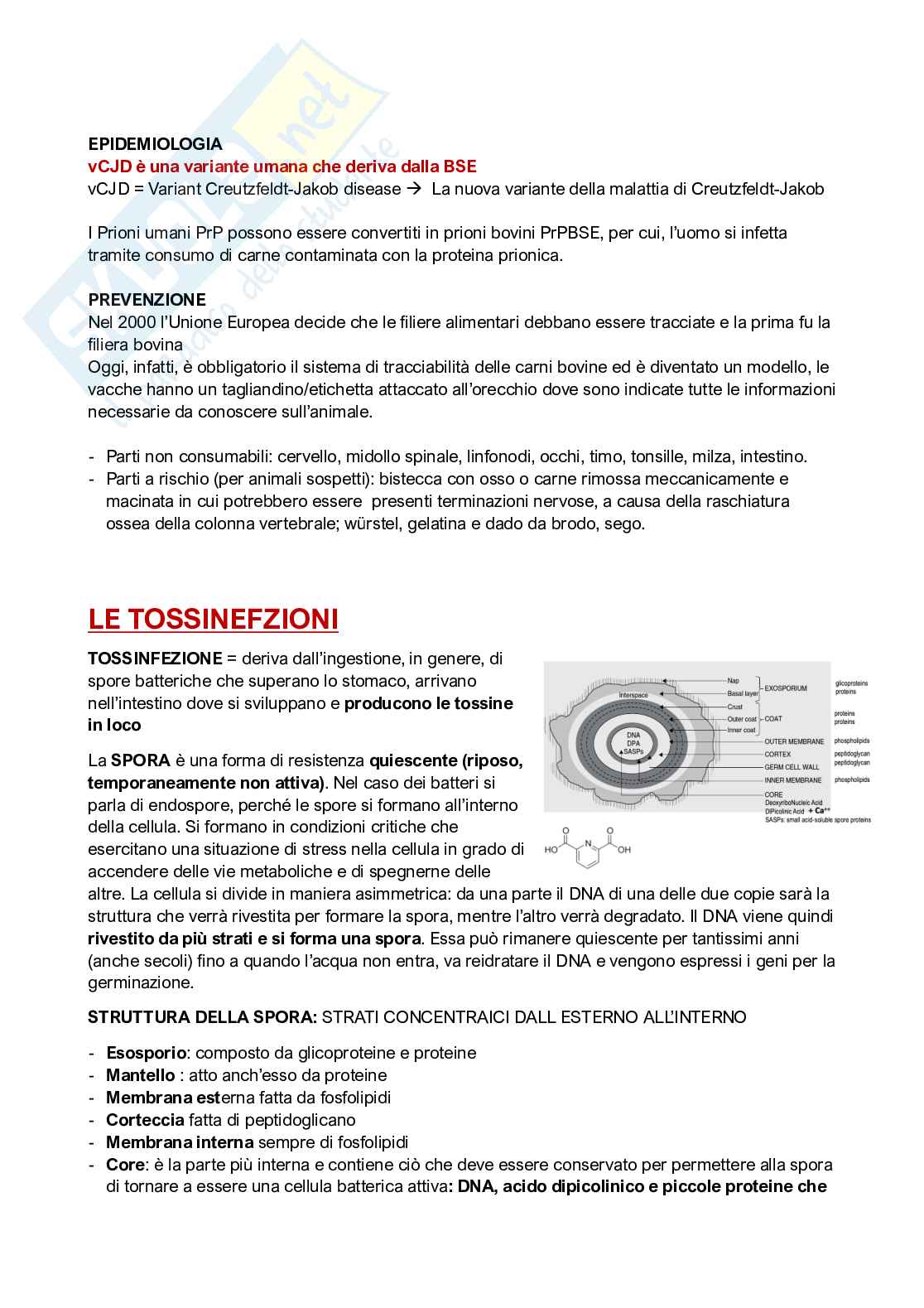 Qualità e sicurezza microbiologica Pag. 56