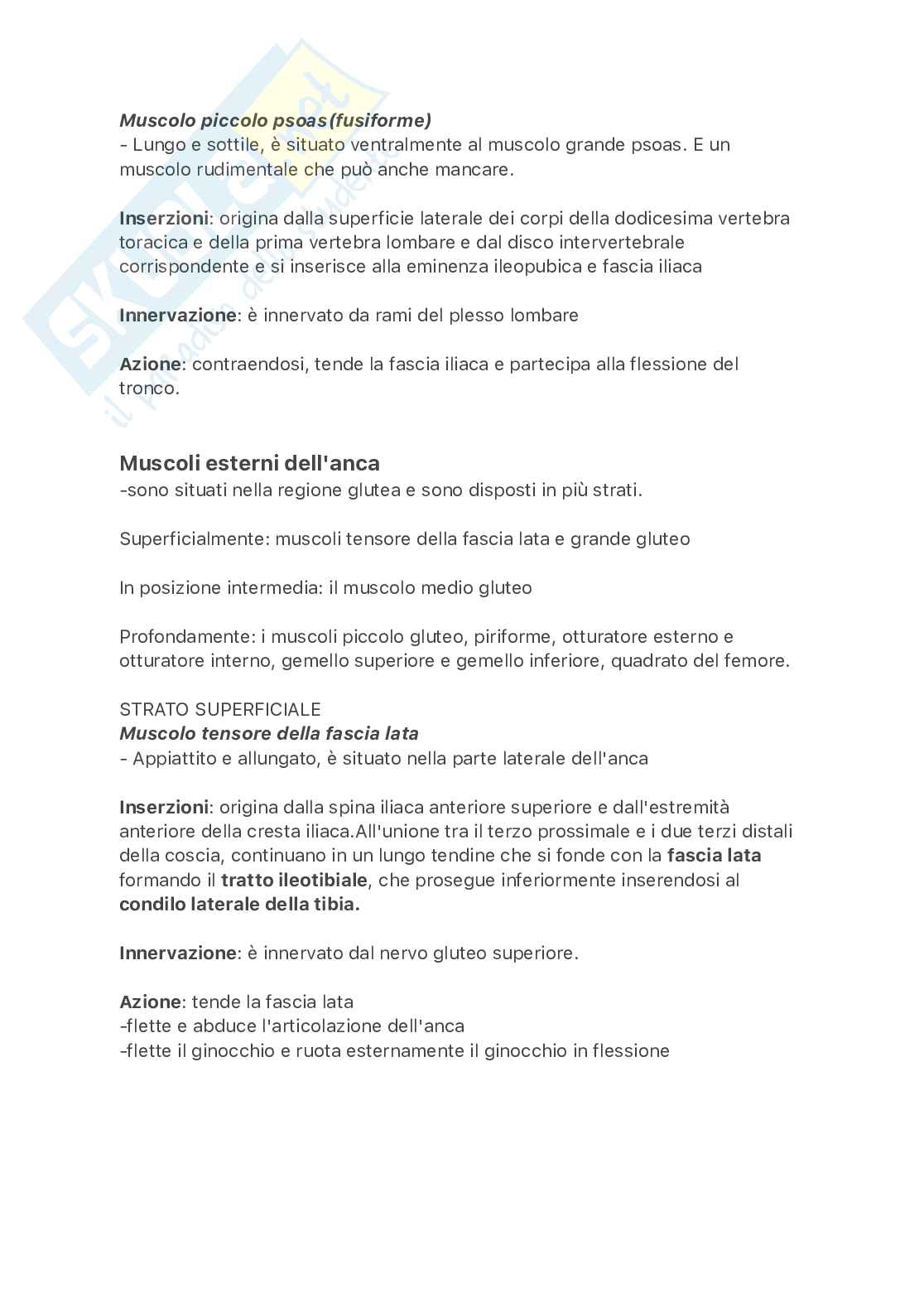 Muscoli dell'arto inferiore Pag. 2