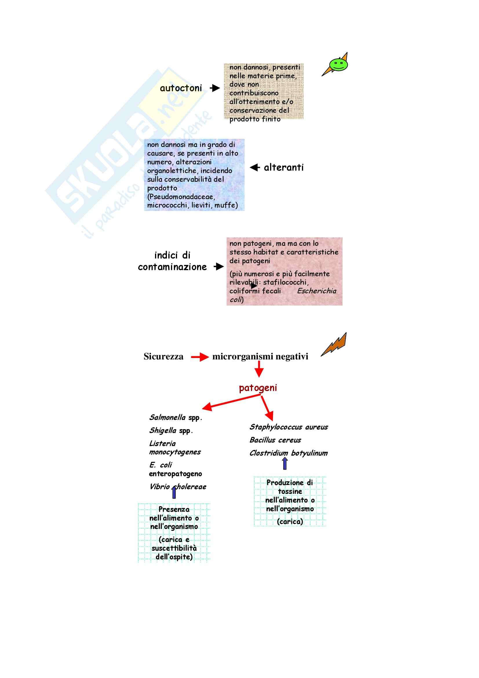 Tecniche microbiologiche - Appunti Pag. 2