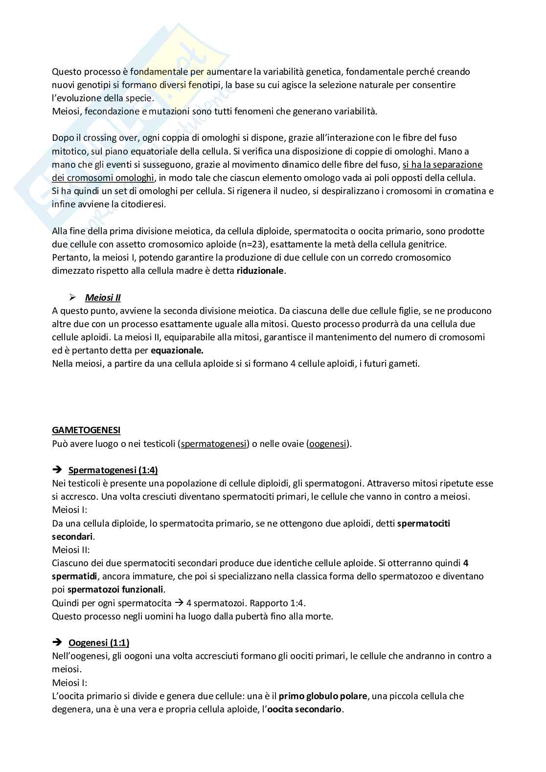 Appunti Biologia Pag. 41