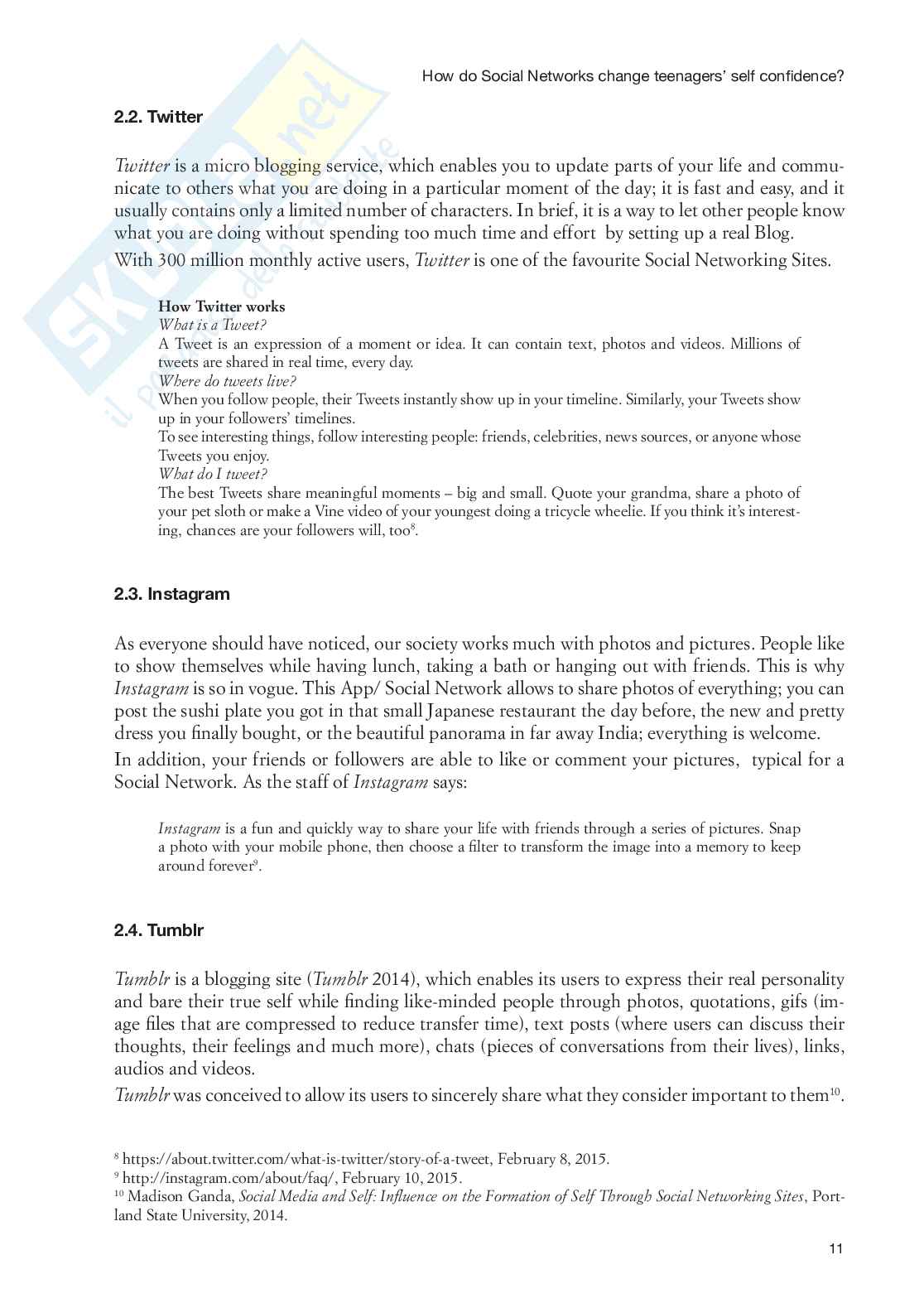 Social Networks, tesina Pag. 11
