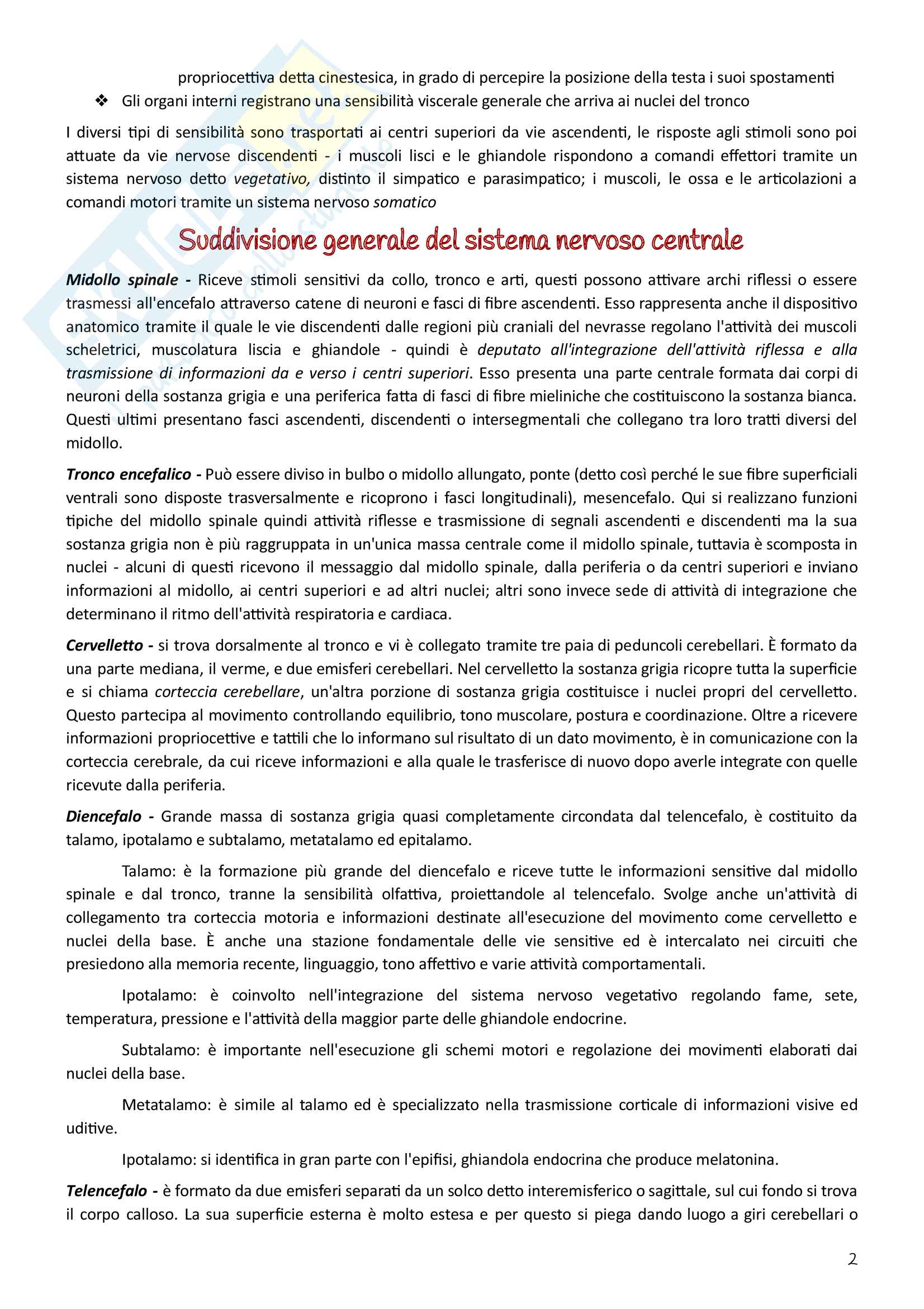 Sistema nervoso centrale Pag. 2