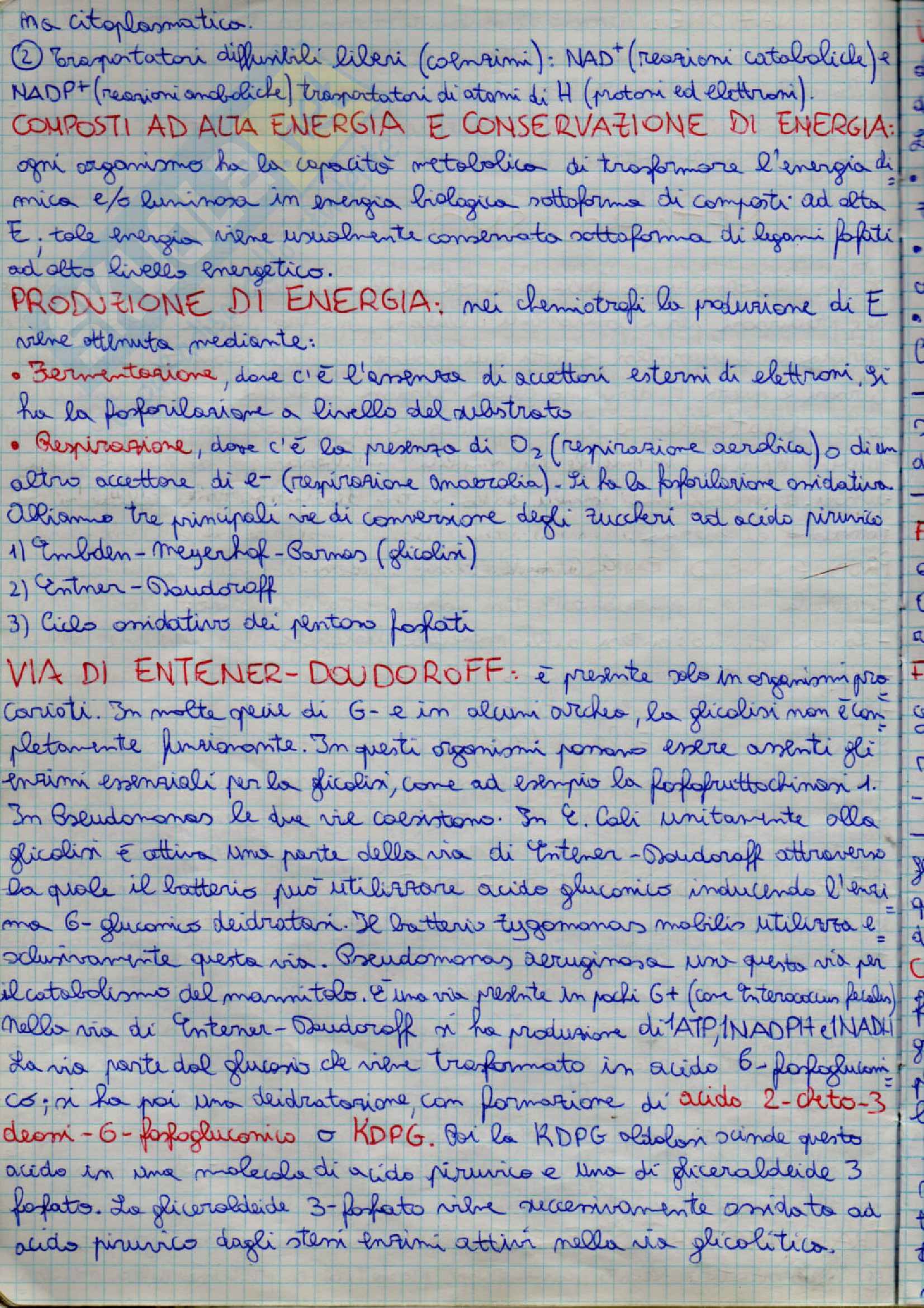 Microbiologia Pag. 36