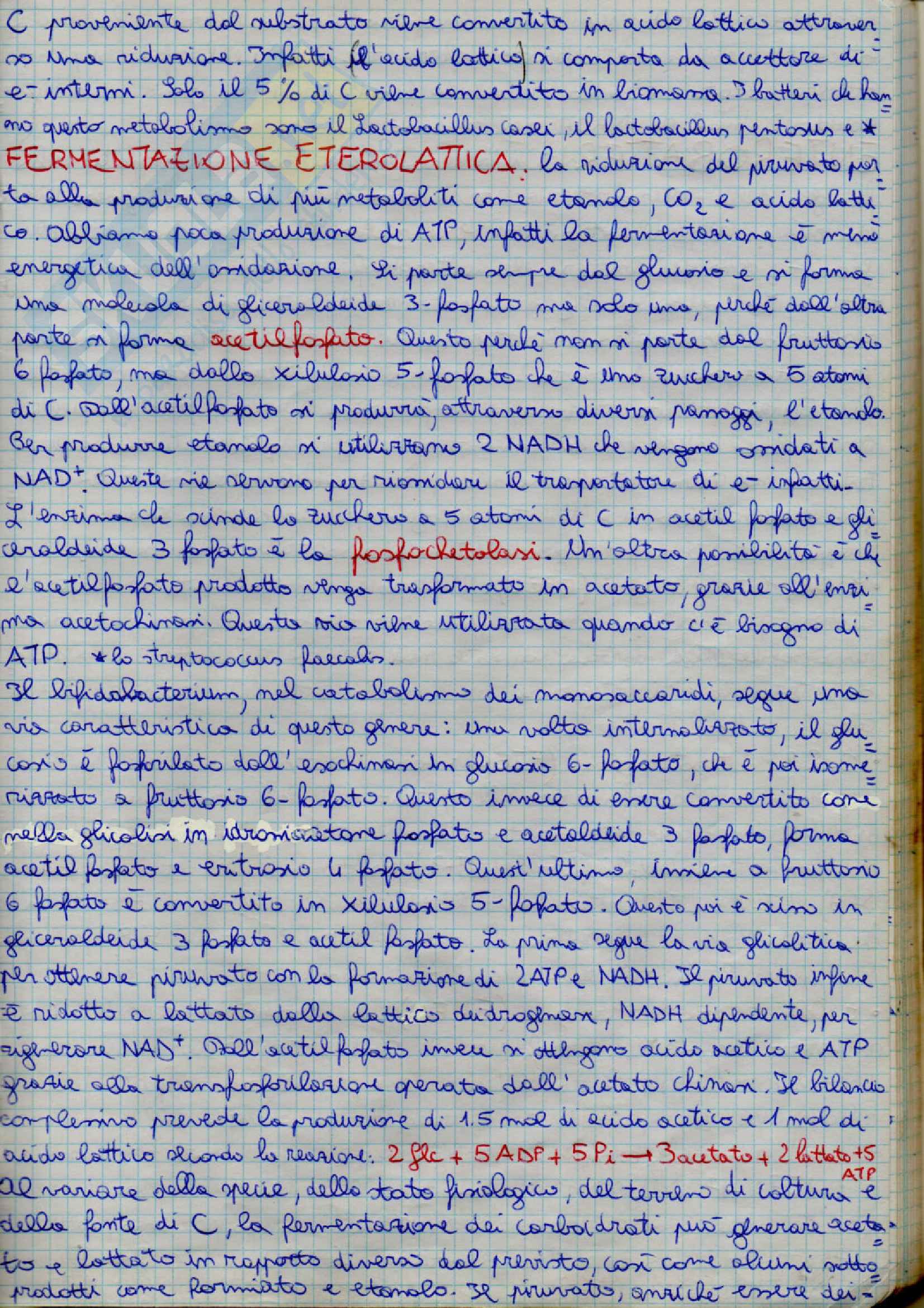 Microbiologia Pag. 41
