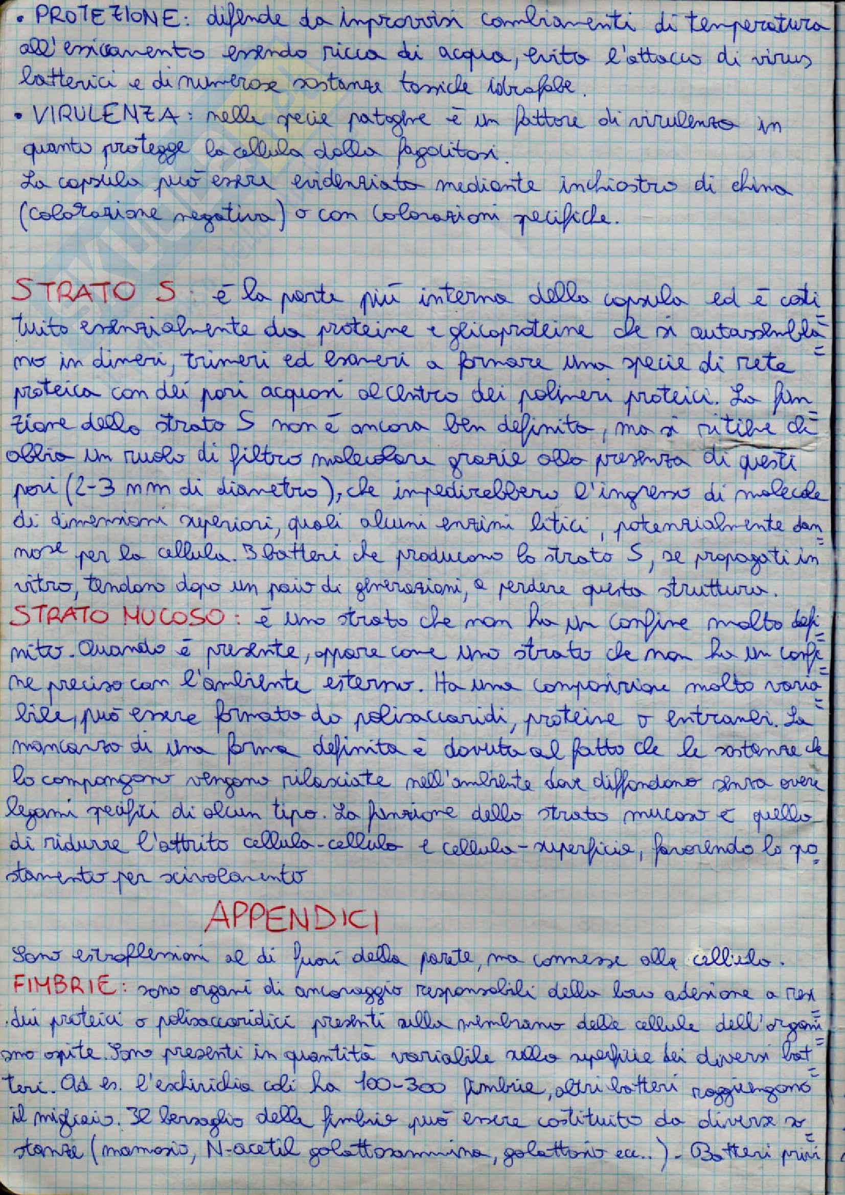 Microbiologia Pag. 6