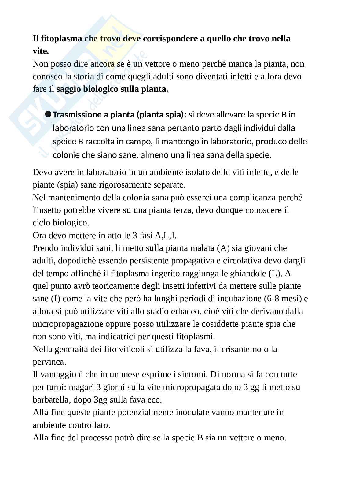 Entomologia - Appunti presi al computer durante le lezioni di Entomologia della vite - 142 pagine Pag. 76