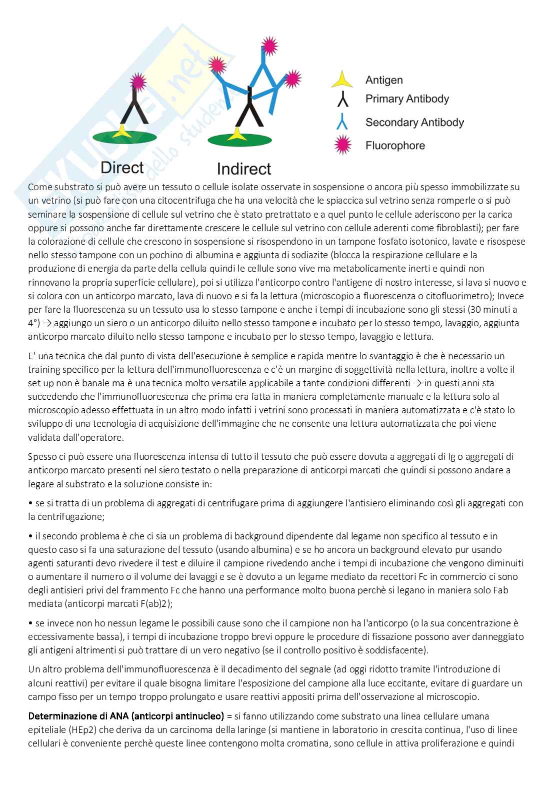 Medicina interna/Immunologia clinica  Pag. 11