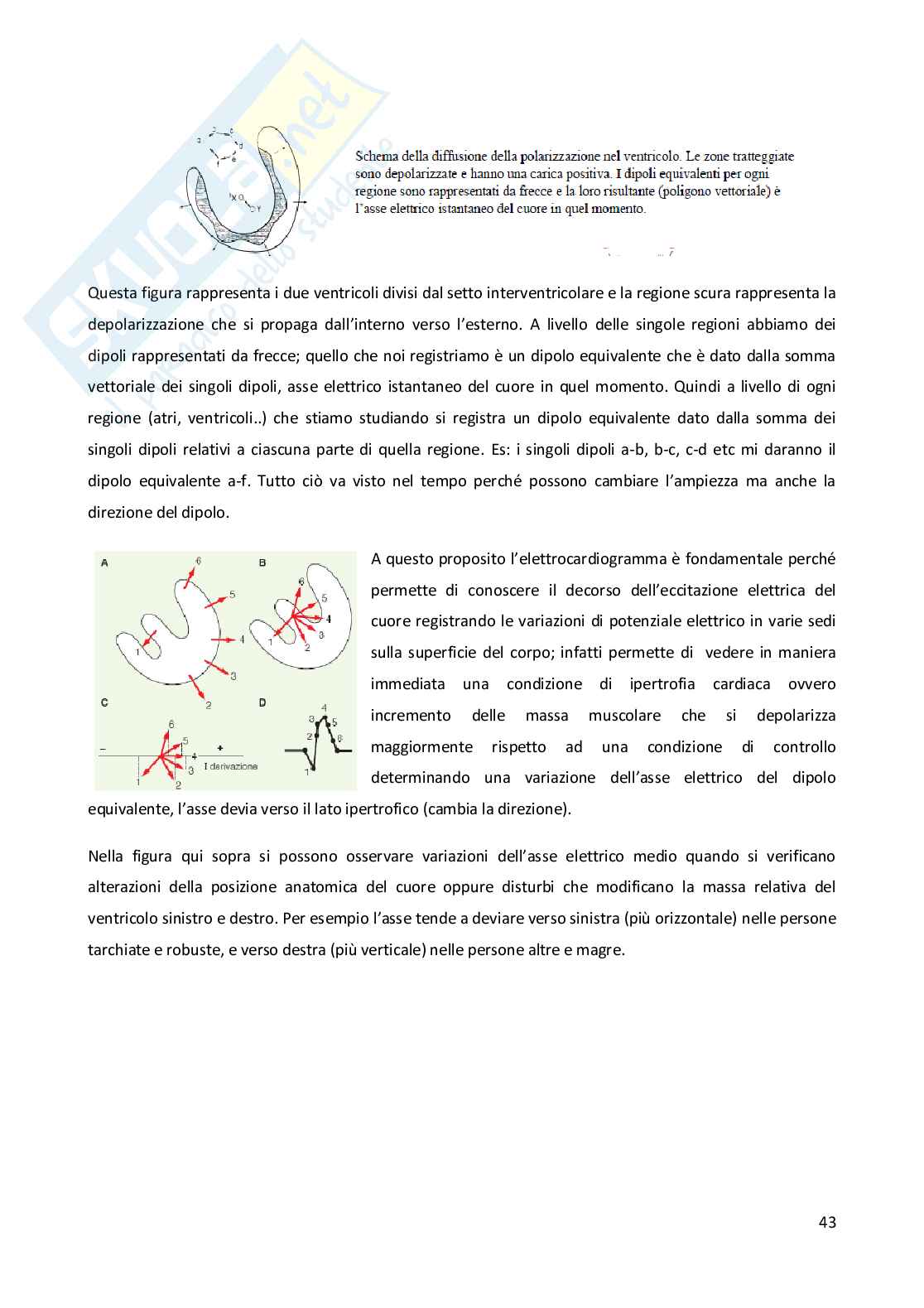 Molecole circolanti Pag. 1