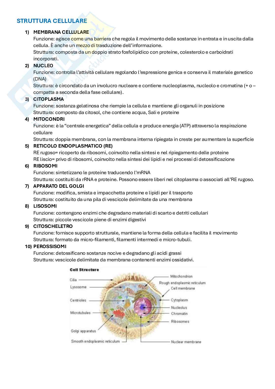 Appunti Ingegneria tissutale  Pag. 11