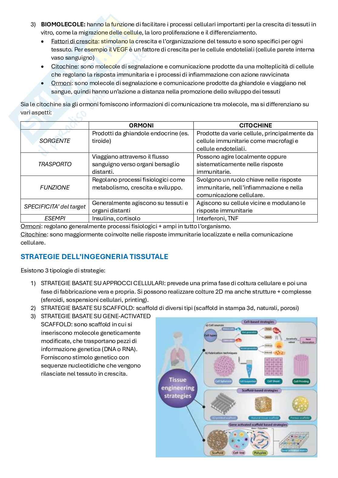 Appunti Ingegneria tissutale  Pag. 2