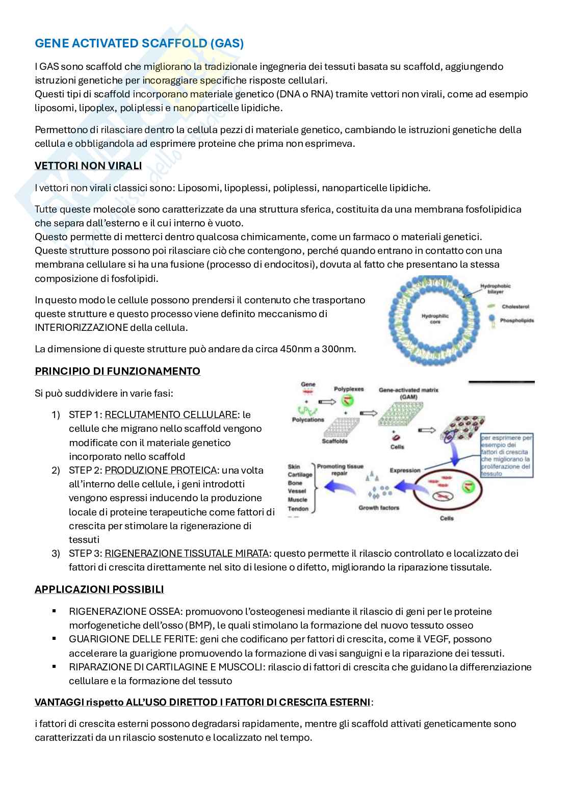 Appunti Ingegneria tissutale  Pag. 31
