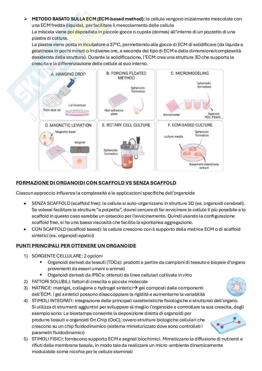 Appunti Ingegneria tissutale  Pag. 36