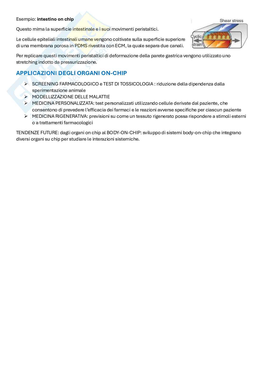 Appunti Ingegneria tissutale  Pag. 46