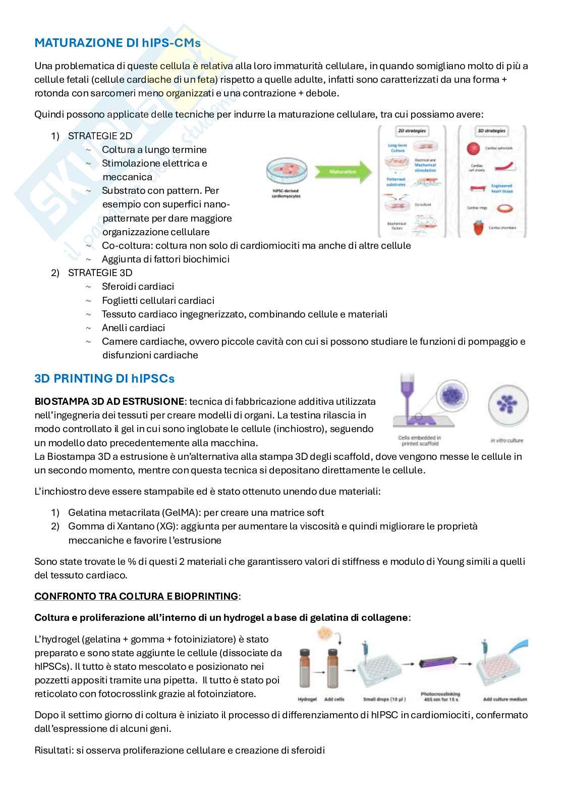 Appunti Ingegneria tissutale  Pag. 61