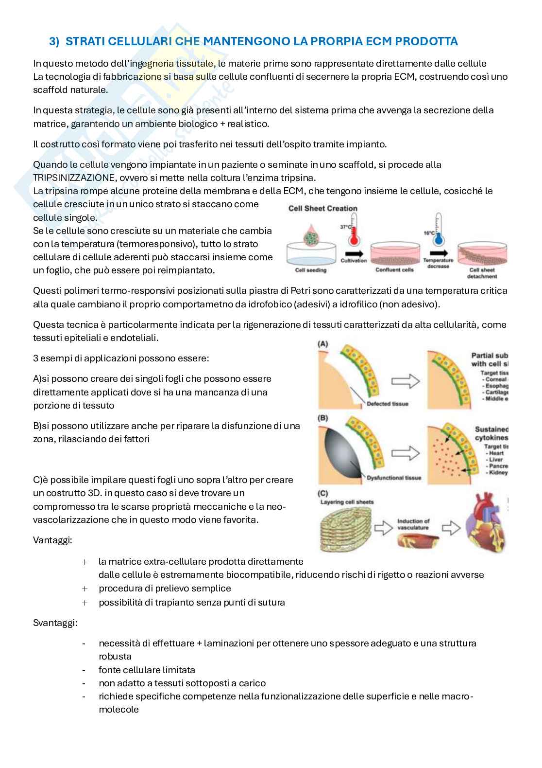 Appunti Ingegneria tissutale  Pag. 76