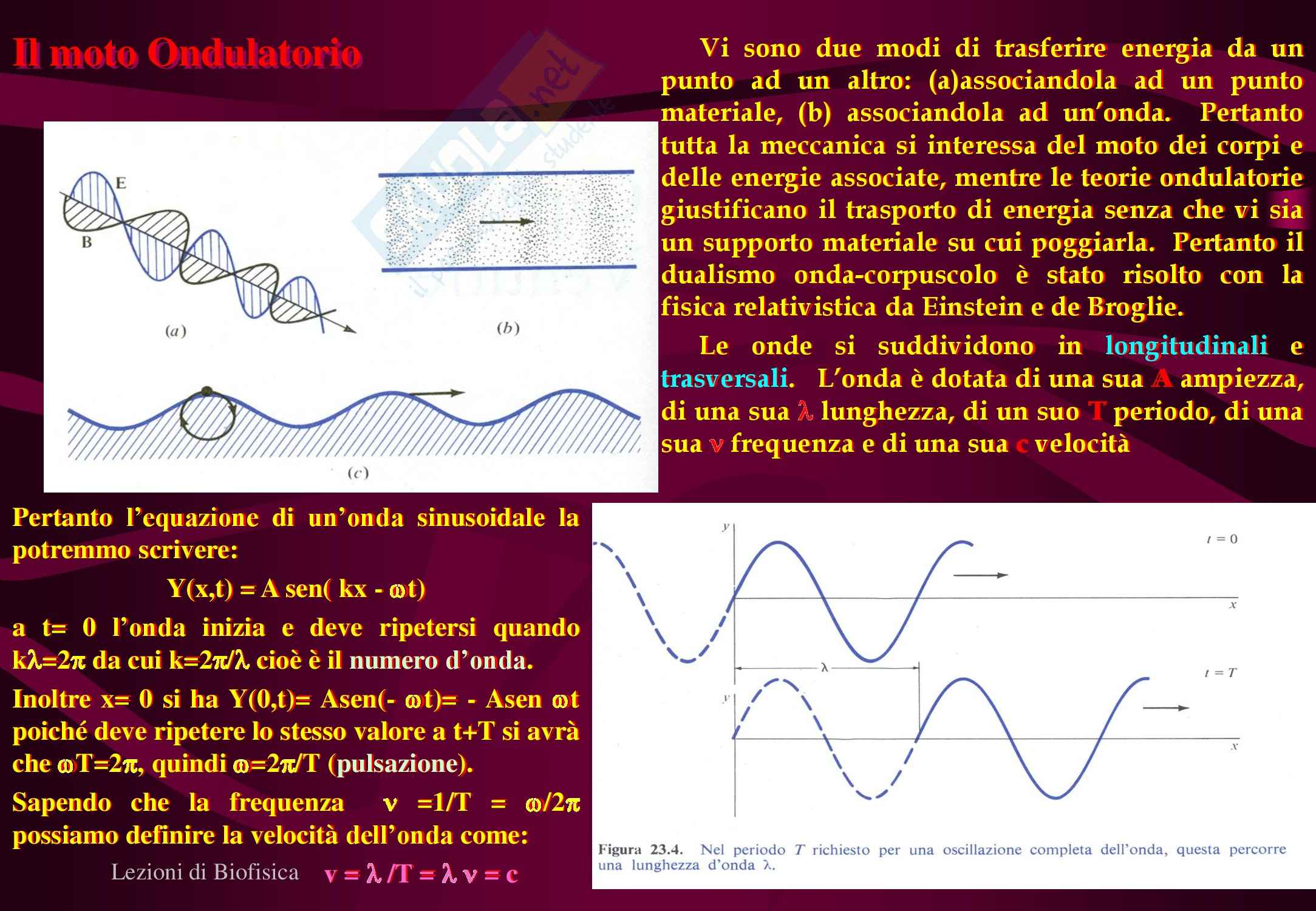 Sistemi biologici - Termodinamica Pag. 76