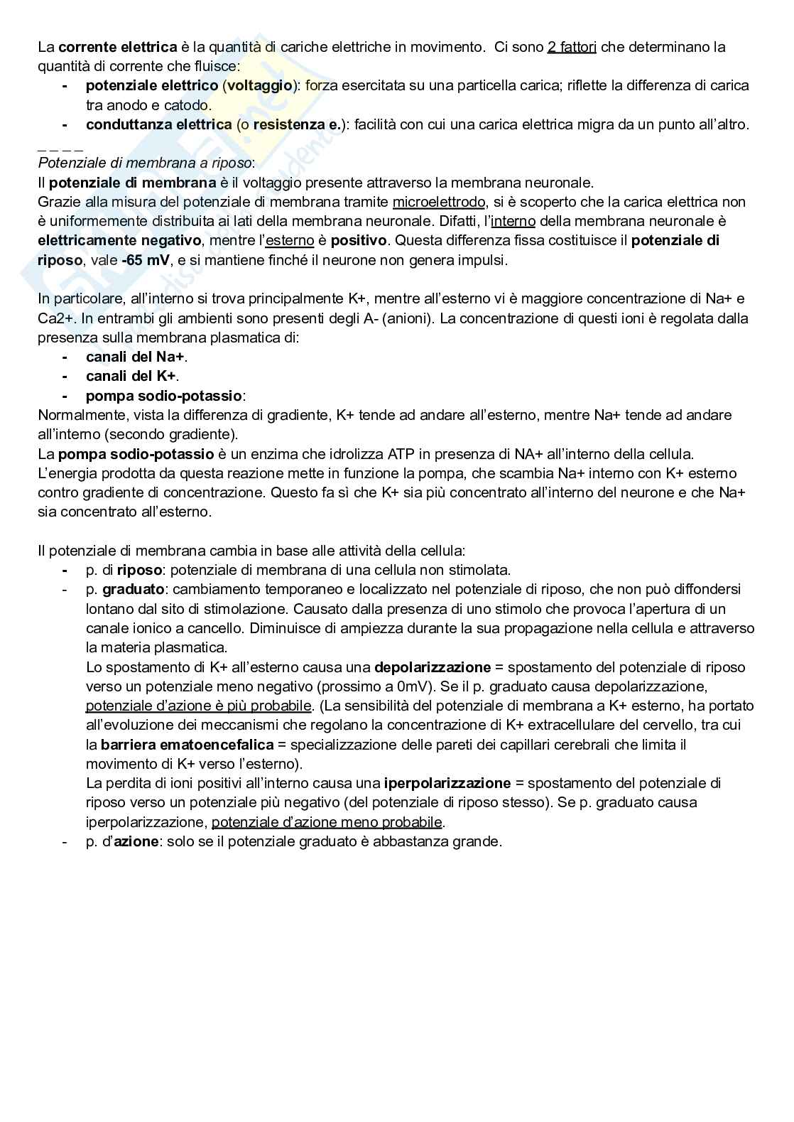Riassunto esame Neuroscienze cognitive, Prof. Pellicciari Maria Concetta, libro consigliato Neuroscienze, Esplorando il cervello, Bear, Connors, Paradiso Pag. 21