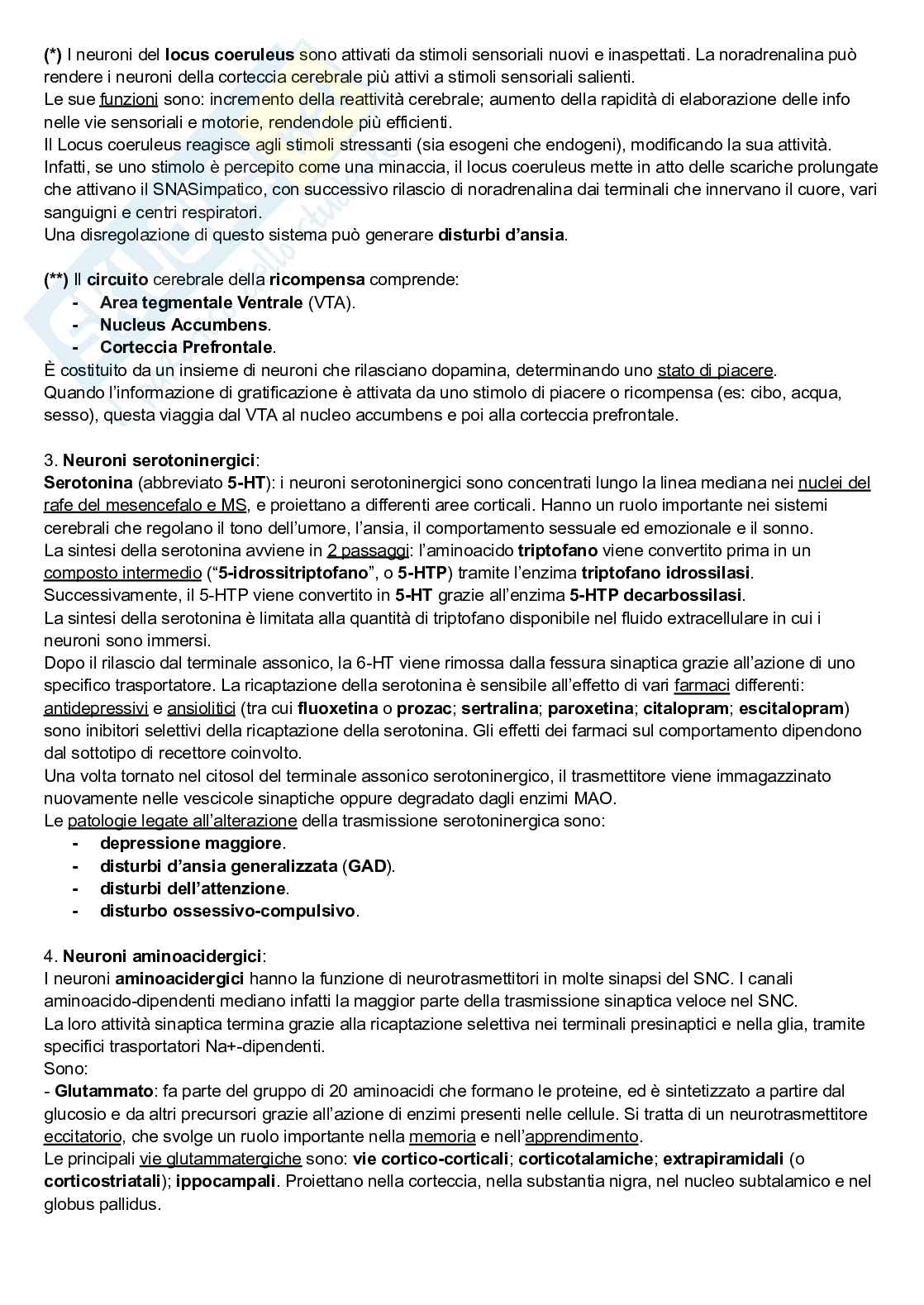Riassunto esame Neuroscienze cognitive, Prof. Pellicciari Maria Concetta, libro consigliato Neuroscienze, Esplorando il cervello, Bear, Connors, Paradiso Pag. 36
