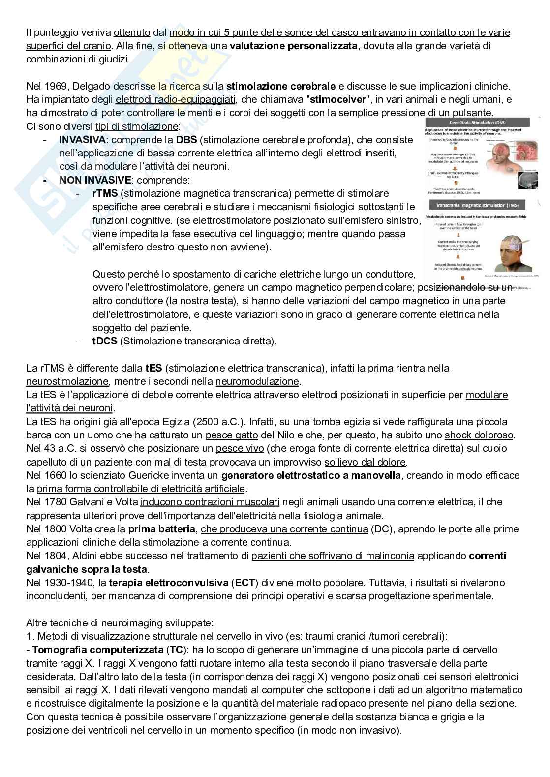 Riassunto esame Neuroscienze cognitive, Prof. Pellicciari Maria Concetta, libro consigliato Neuroscienze, Esplorando il cervello, Bear, Connors, Paradiso Pag. 6