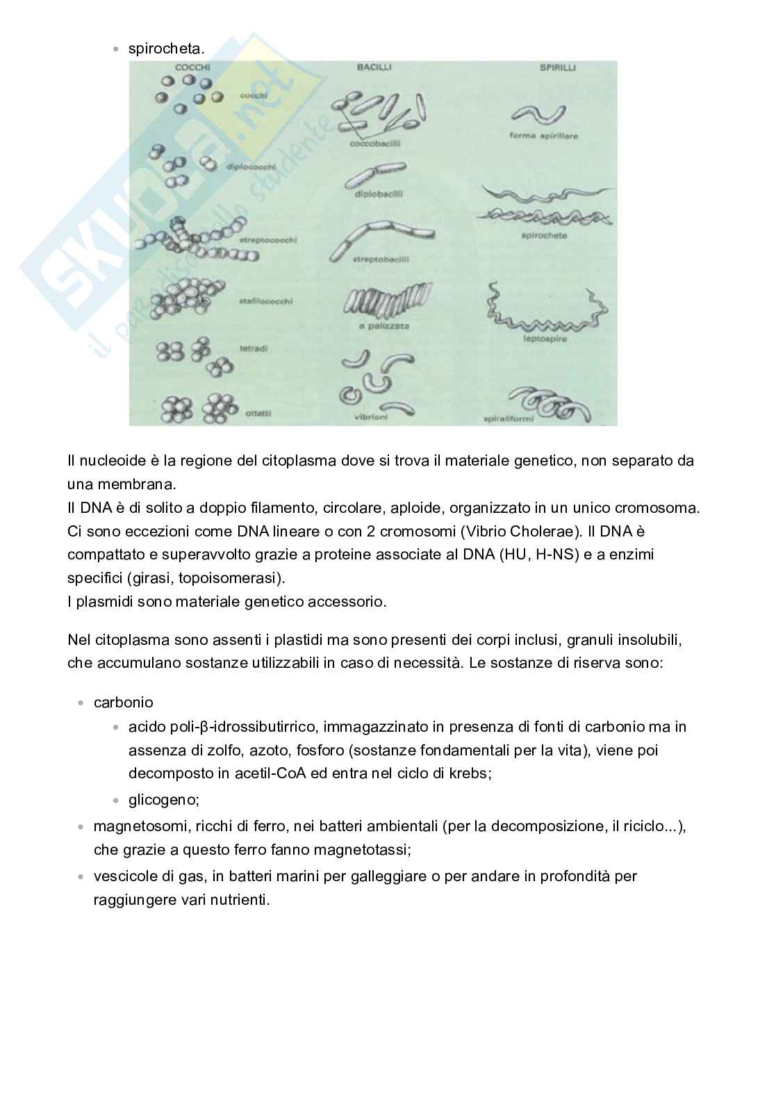 Microbiologia Pag. 2