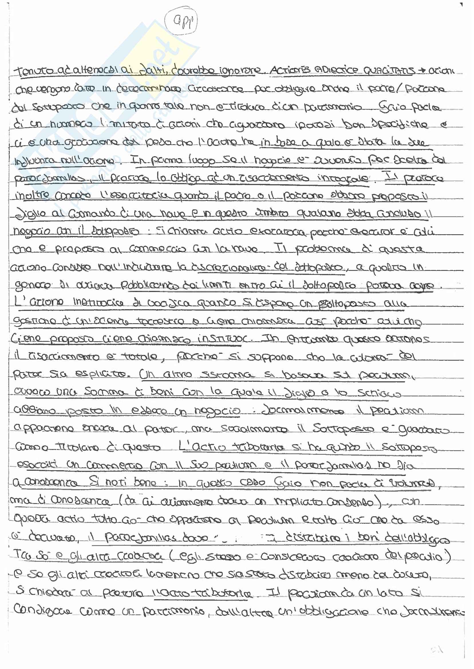 Diritto romano (schemi e appunti) Pag. 31