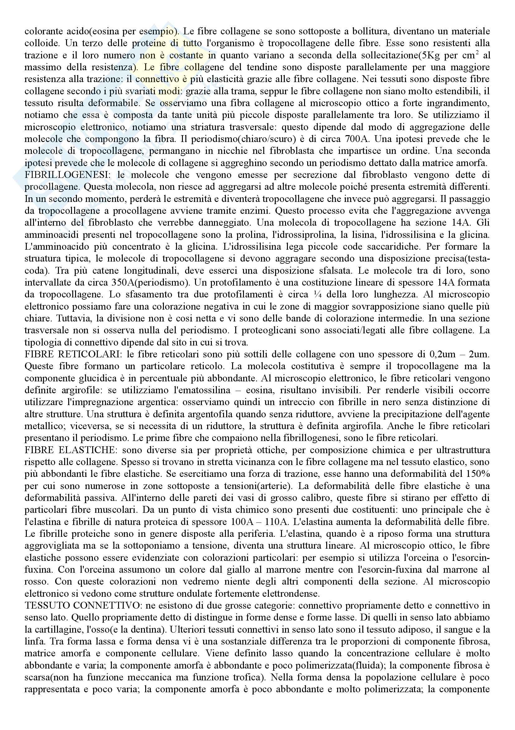 Citologia e Istologia - Appunti Pag. 16