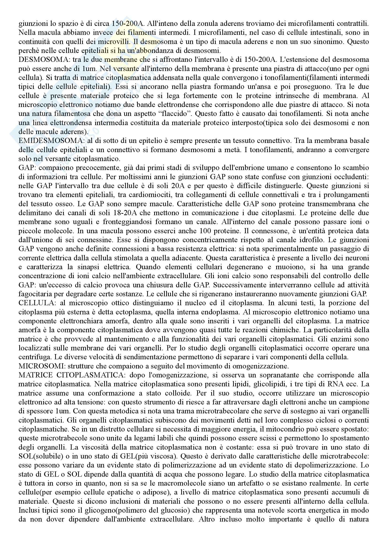 Citologia e Istologia - Appunti Pag. 6