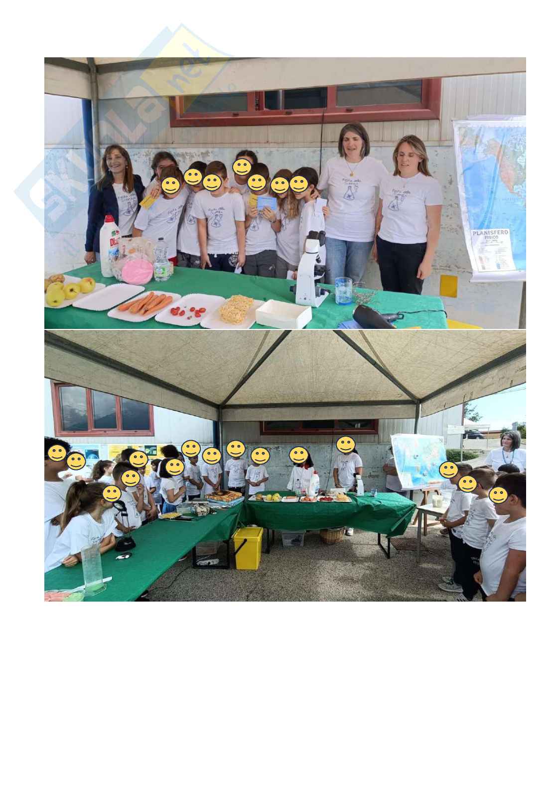 Esempio uda lezione simulata per la scuola primaria e concorsi pubblici titolo isole di plastica Pag. 11
