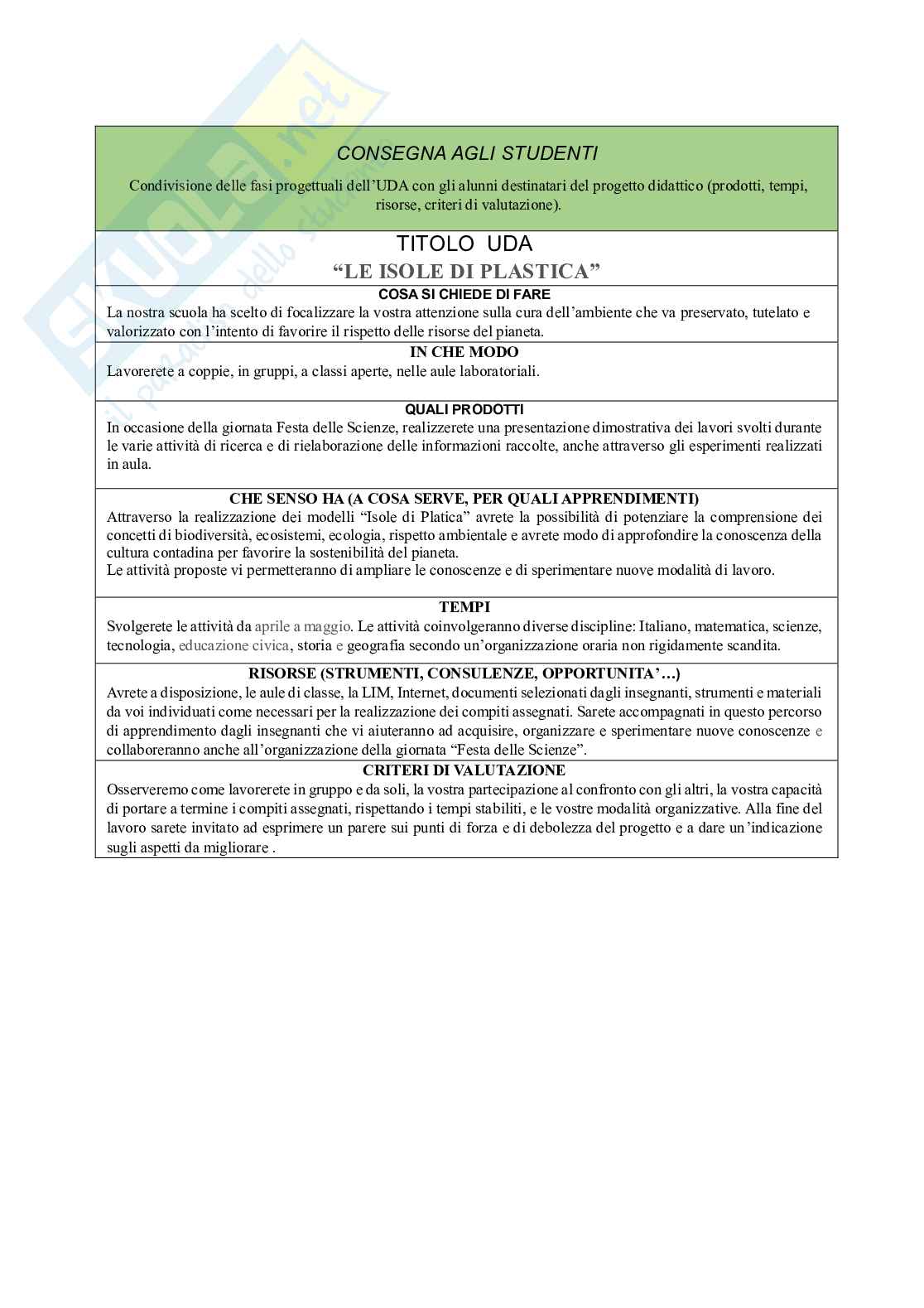 Esempio uda lezione simulata per la scuola primaria e concorsi pubblici titolo isole di plastica Pag. 6
