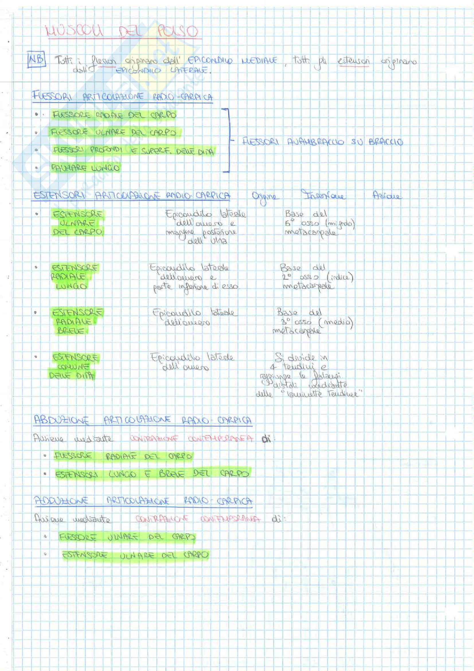1-2 Esoneri(Tessuti Ossa Articolazioni Muscoli) Pag. 81