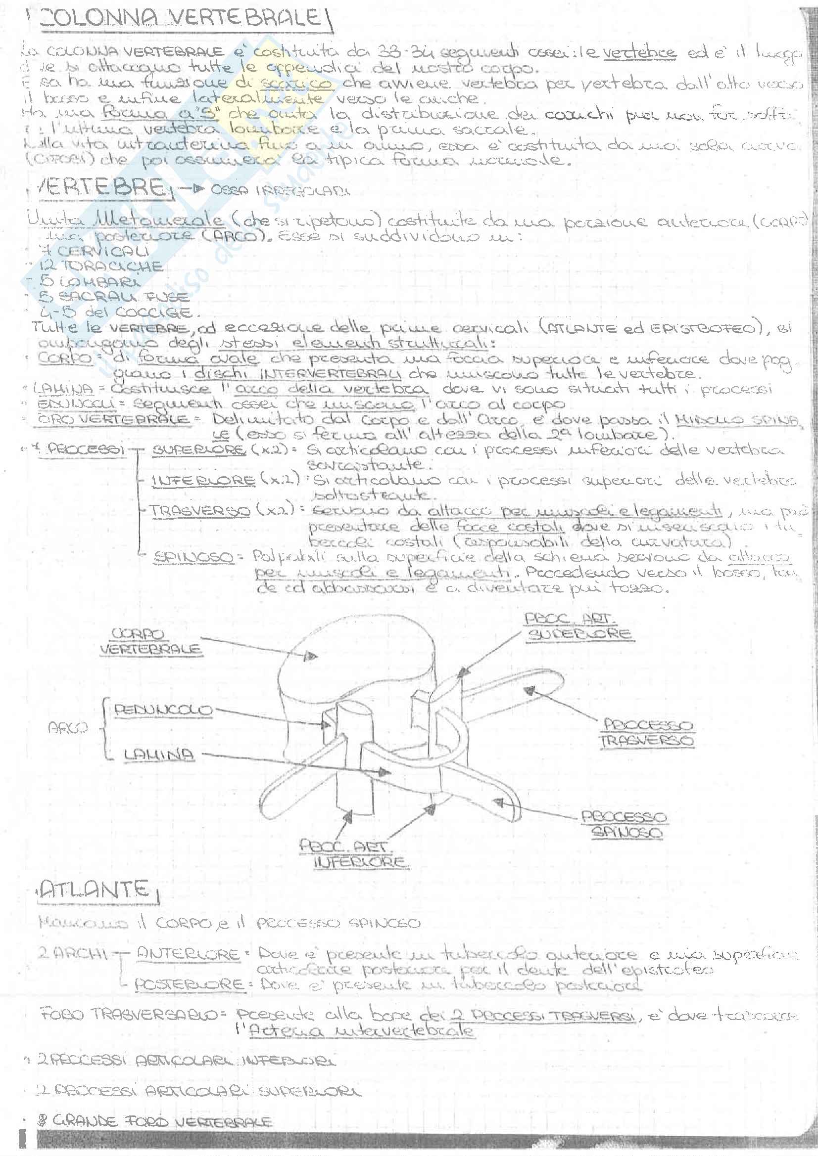 1-2 Esoneri(Tessuti Ossa Articolazioni Muscoli) Pag. 96