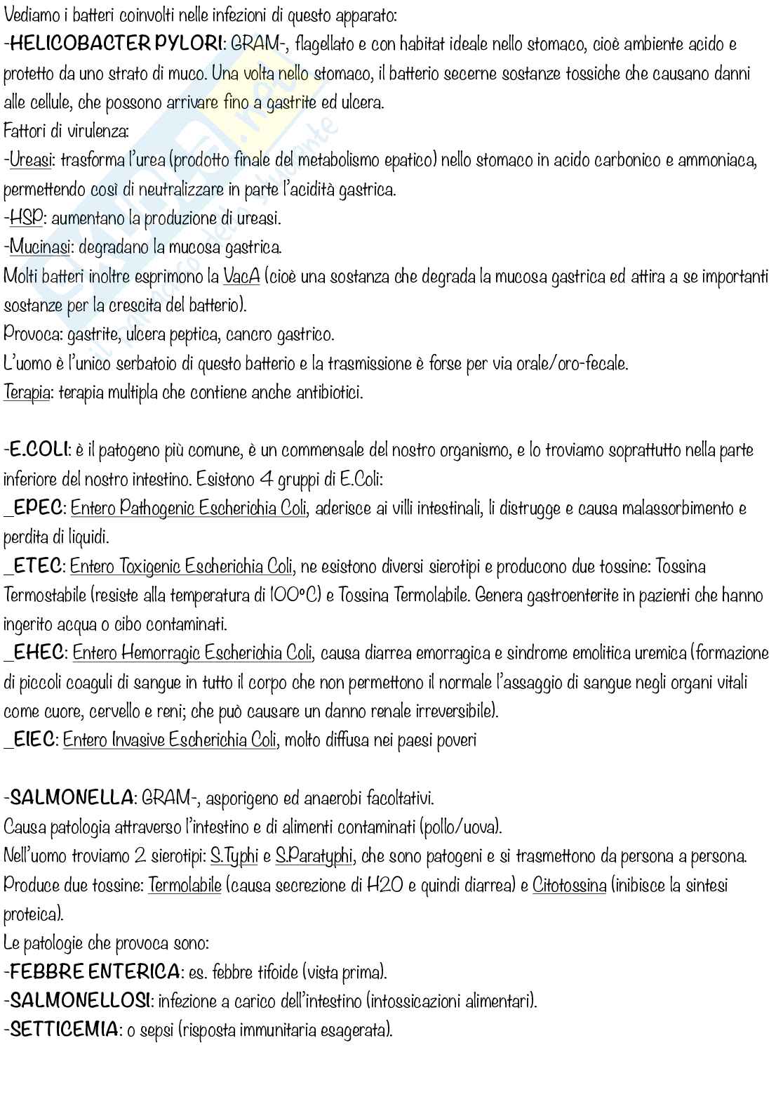 Microbiologia medica - parte 3 Pag. 2