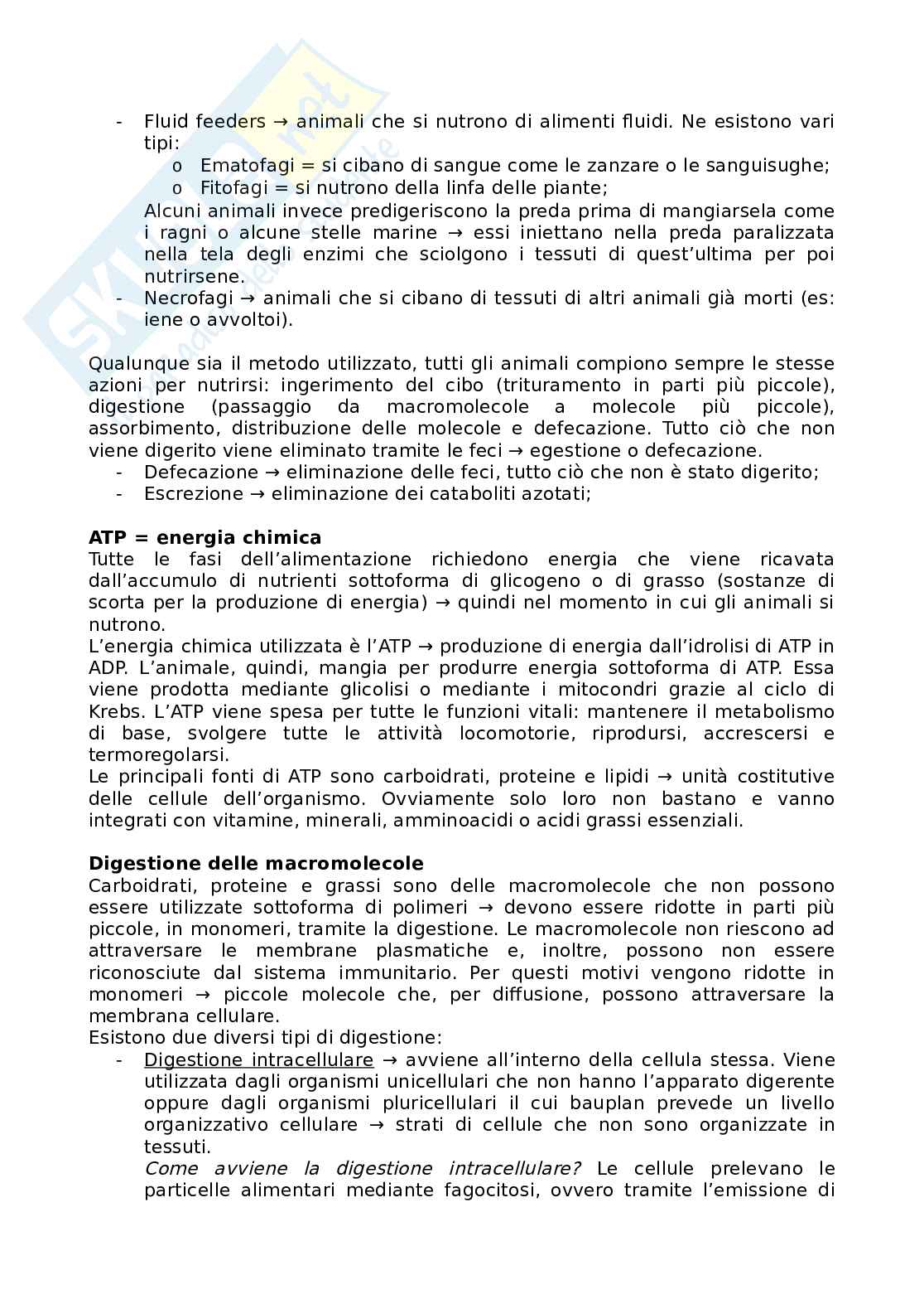 Appunti I parte: Funzioni Pag. 6