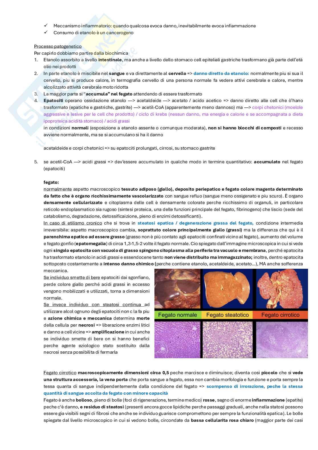 Appunti di Patologia generale Pag. 21