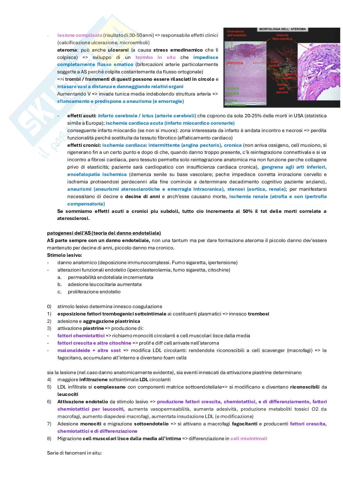 Appunti di Patologia generale Pag. 26