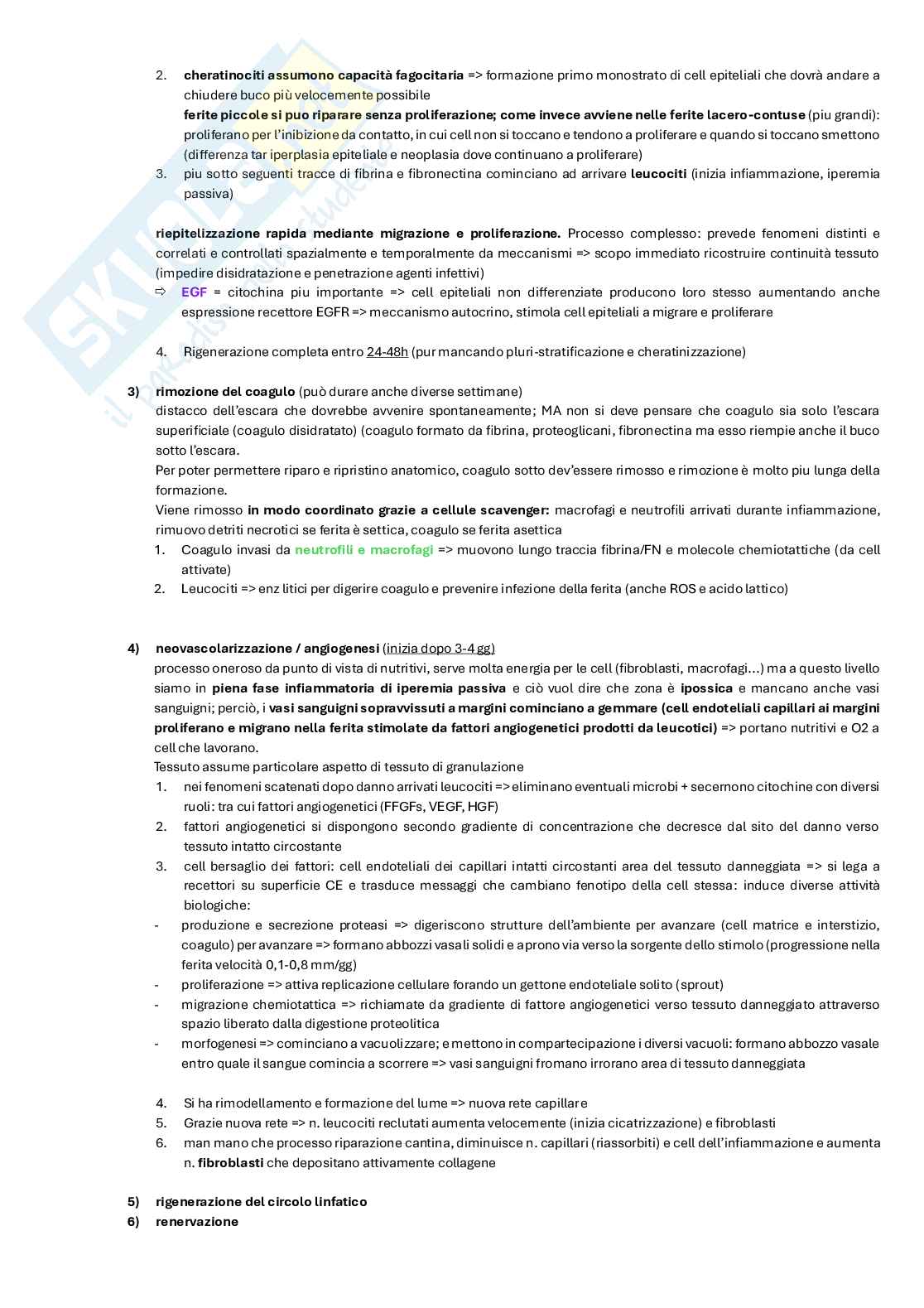 Appunti di Patologia generale Pag. 41