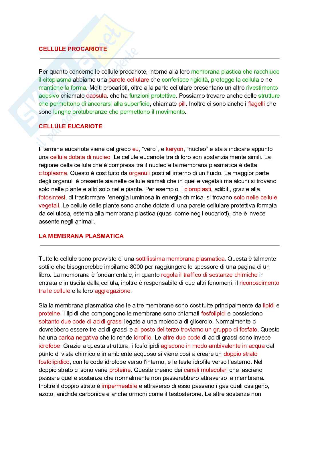 Cellula - Definizione e Caratteristiche Pag. 2