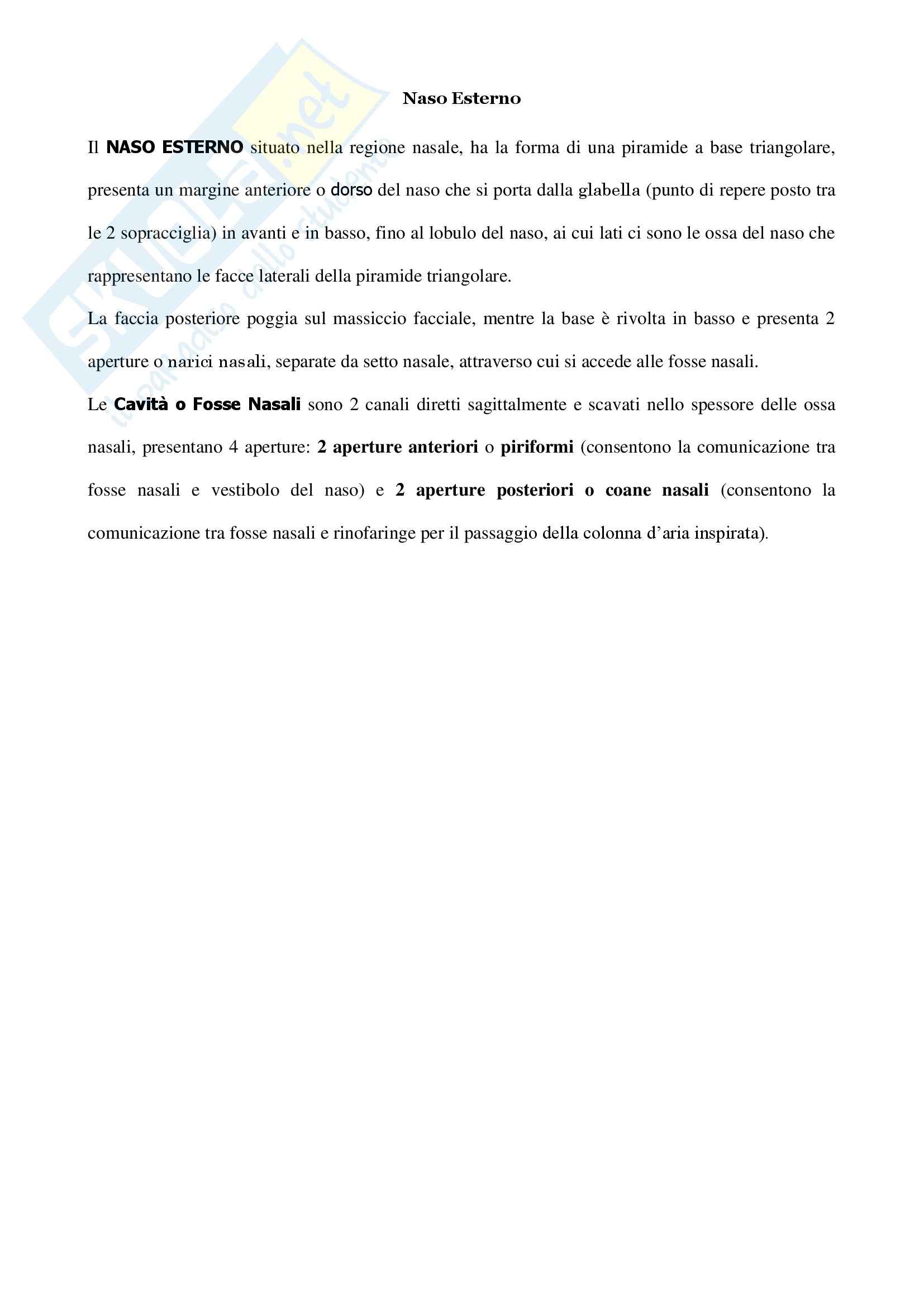 Anatomia umana - Appunti Pag. 1