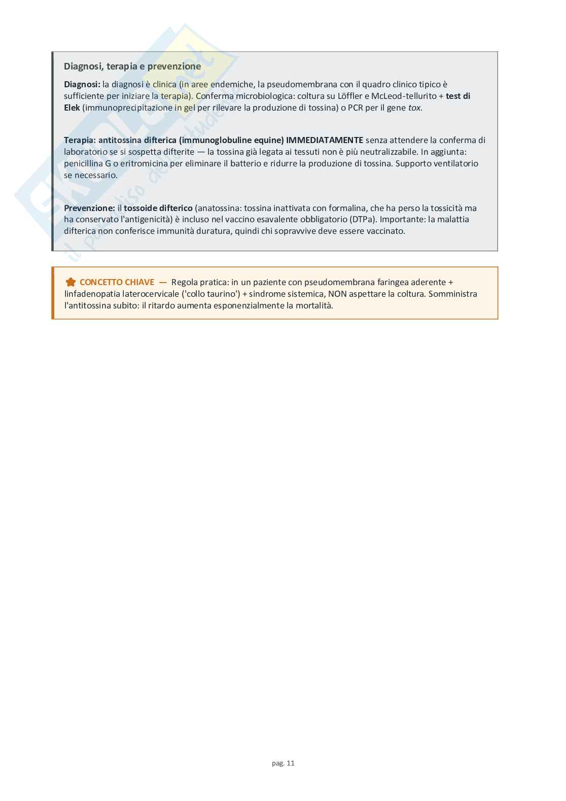 Microbiologia speciale e medica Pag. 11