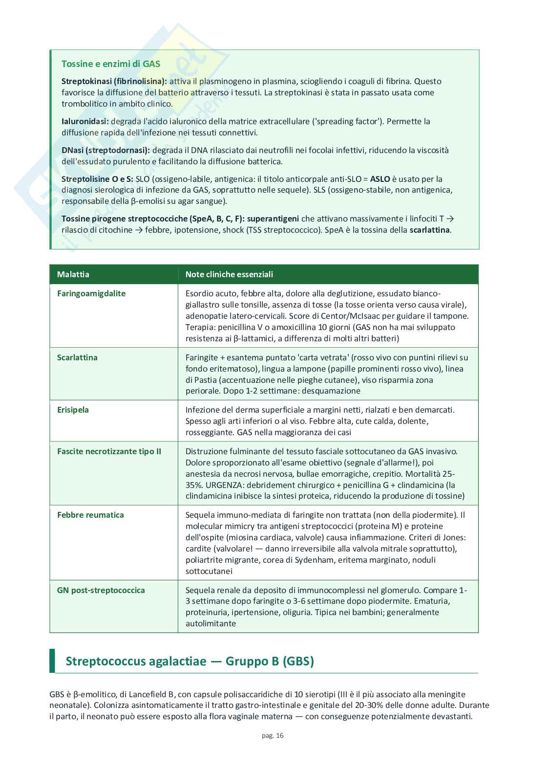 Microbiologia speciale e medica Pag. 16