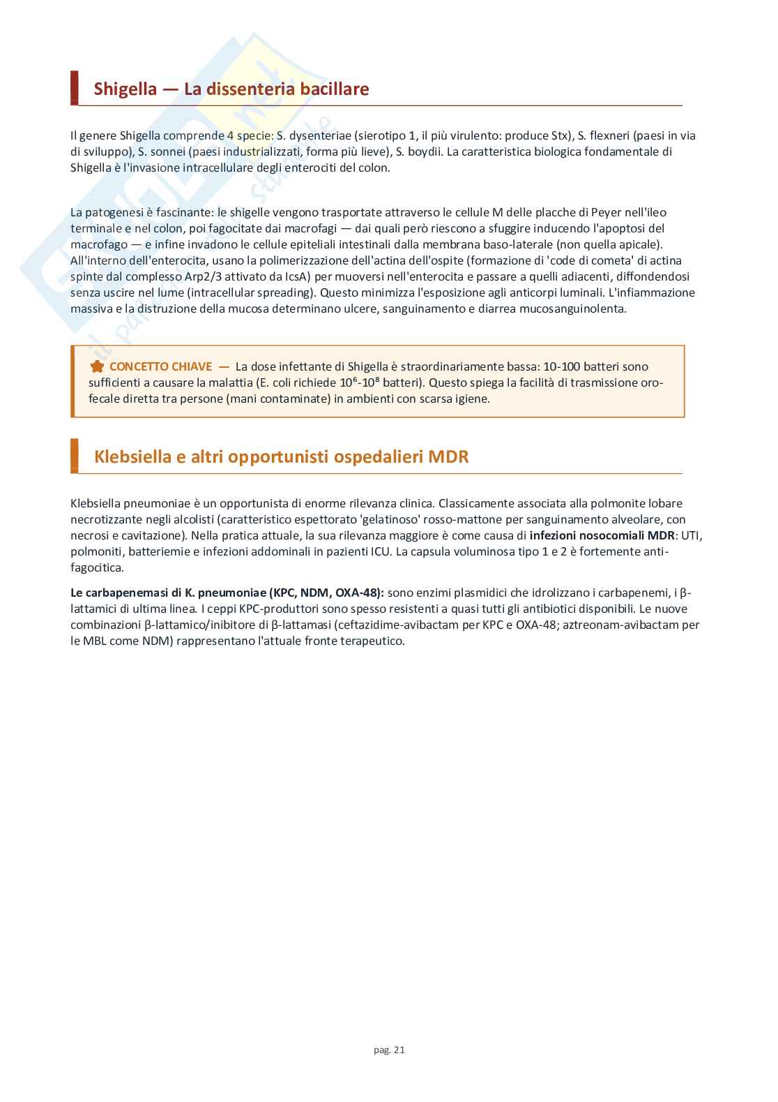 Microbiologia speciale e medica Pag. 21